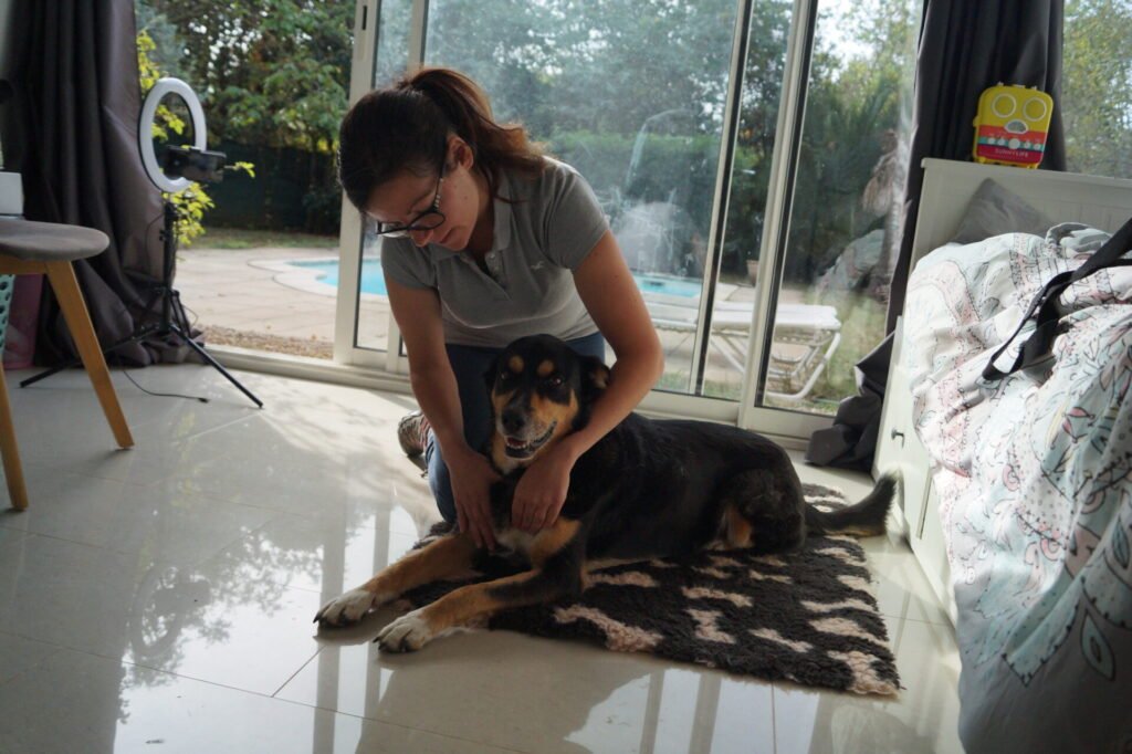 chien content de se faire masser