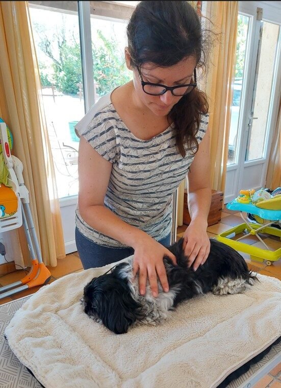 Lauriane massant un petit chien allongé sur une serviette posée sur une table