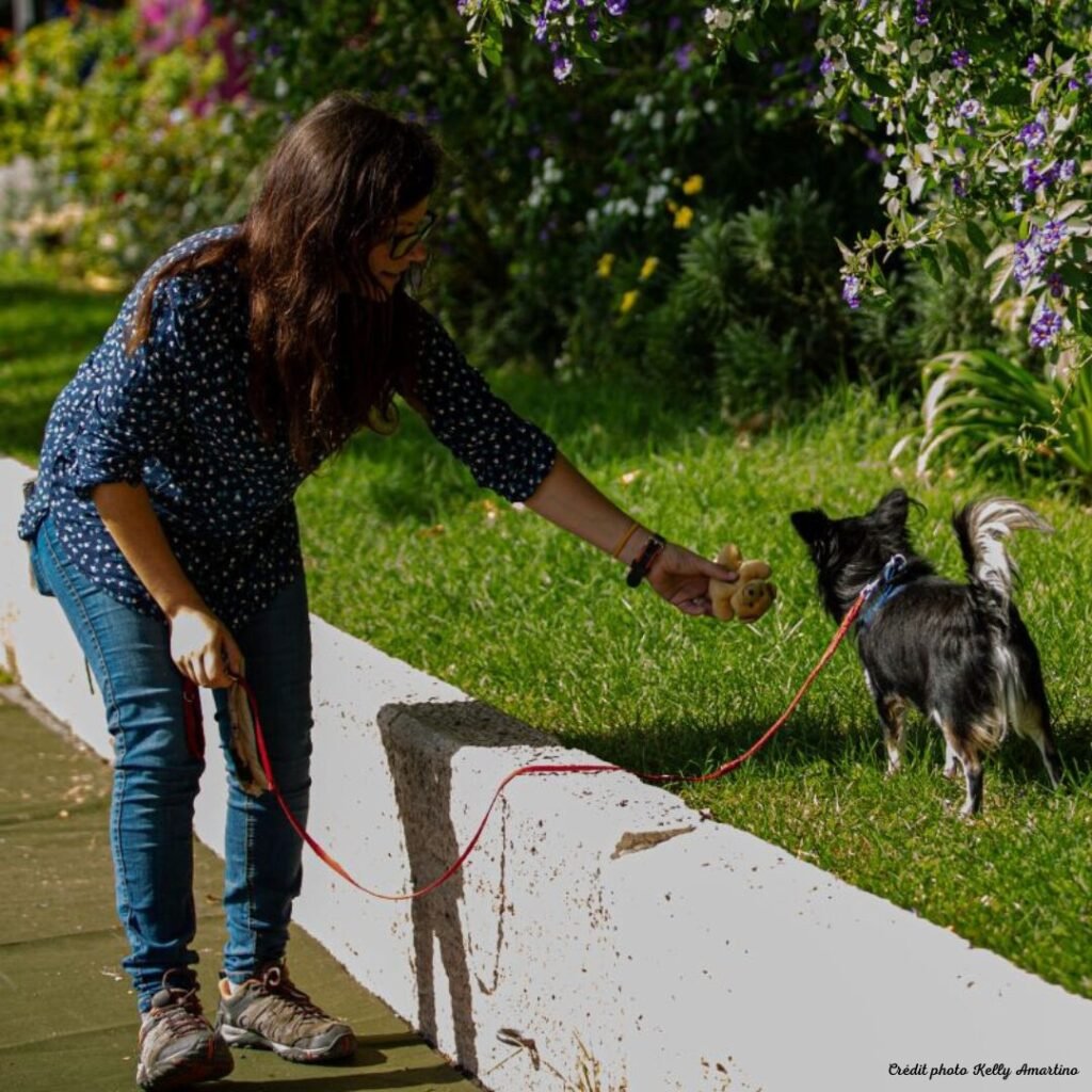 Sorties et promenades en pet sitting à Grasse