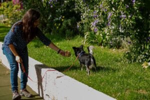 Lauriane jouant avec un petit chien pendant une balade en pet sitting au parc