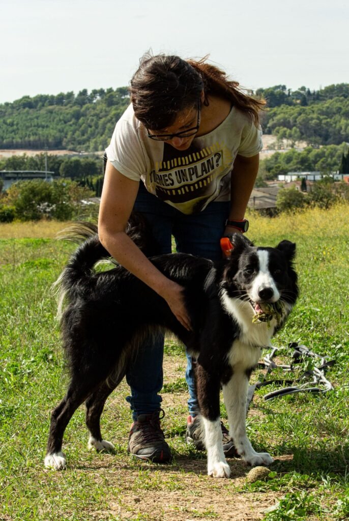 Pet sitting, visites et promenades à Grasse