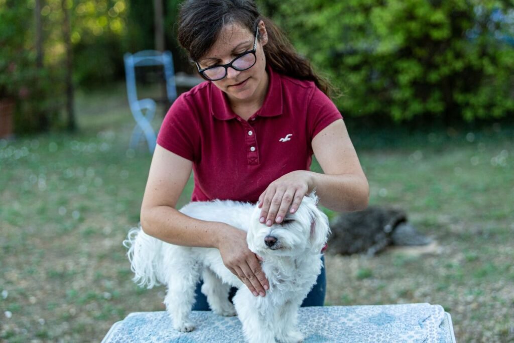 Chien en confiance avec Lauriane sur une table