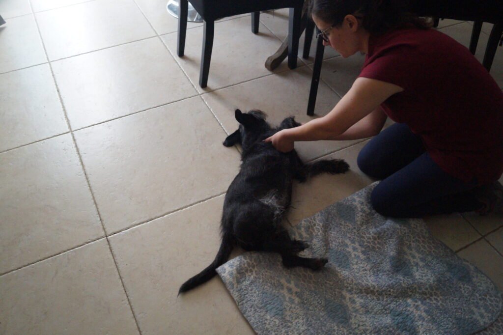 Krusty se faisant masser sur le carrelage de la maison