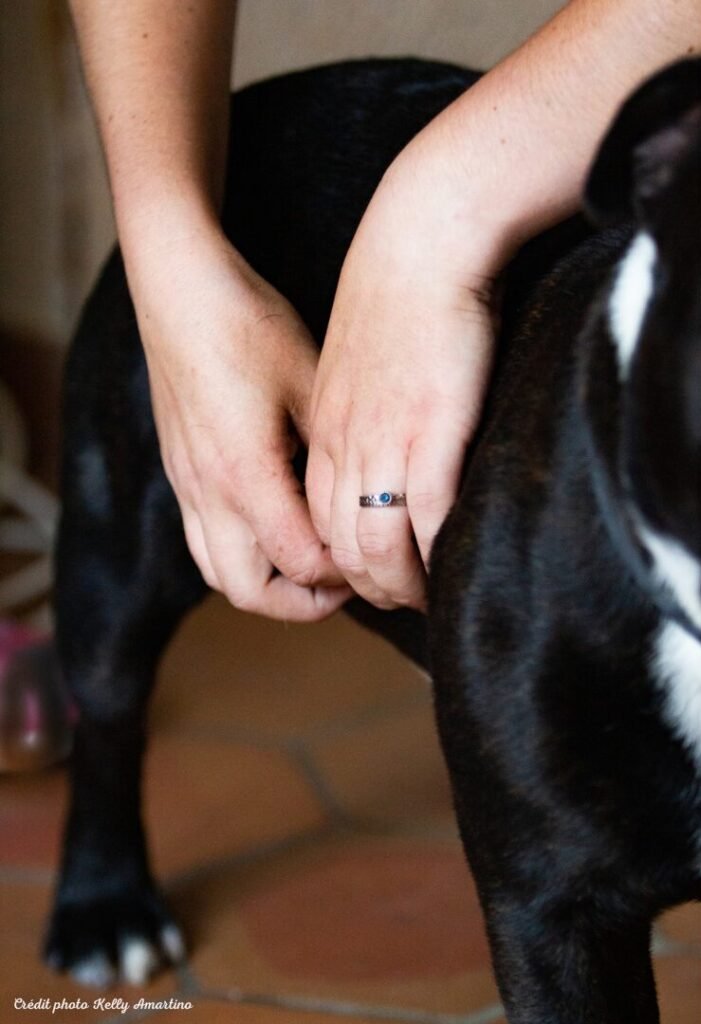 geste doux de massage sur un petit chien noir