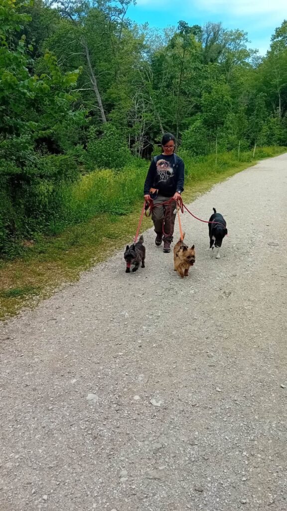 Lauriane en promenade avec trois chiens sur une route piétonne en gravier dans la campagne